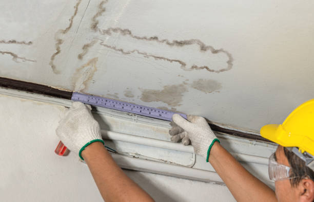 Reliable Sewage Cleanup contractor in Croswell, MI by Water Damage Irwin